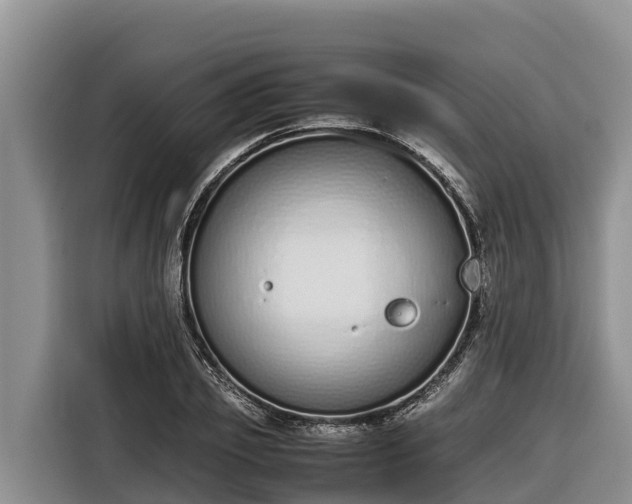 X0000116820933200912241238