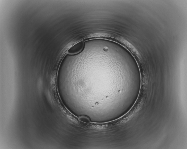 X0000116820937200912241238