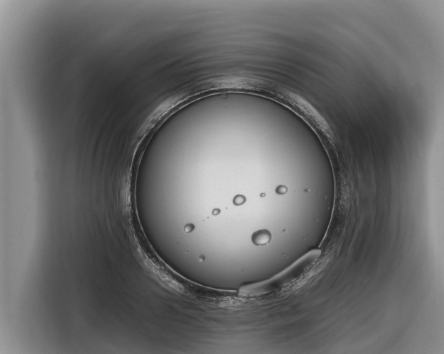 X0000116820938200912241238