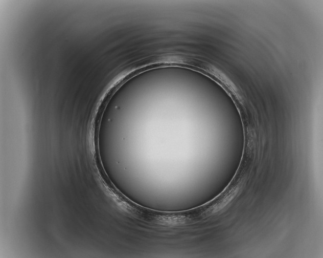 X0000116820939200912241238