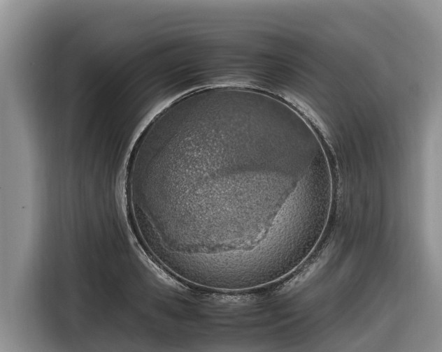 X0000116820941200912241238