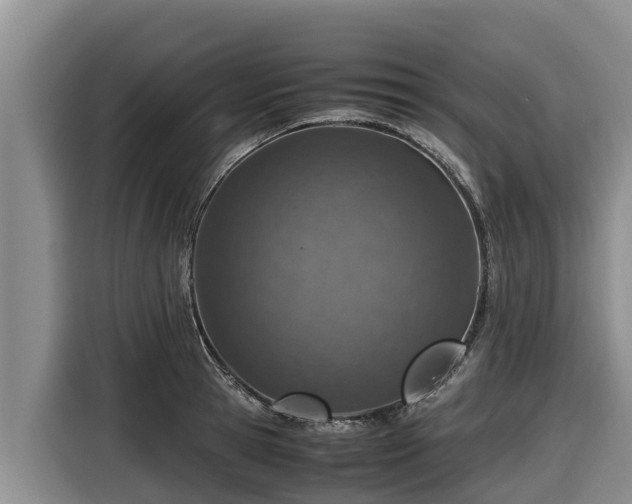 X0000116820945200912241238