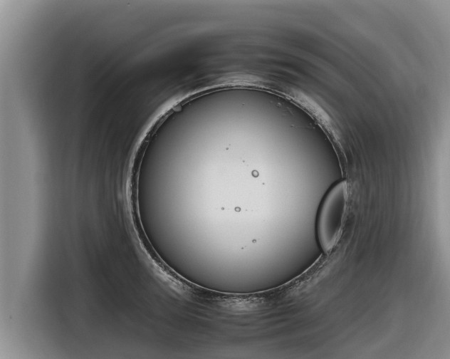 X0000116820947200912241238