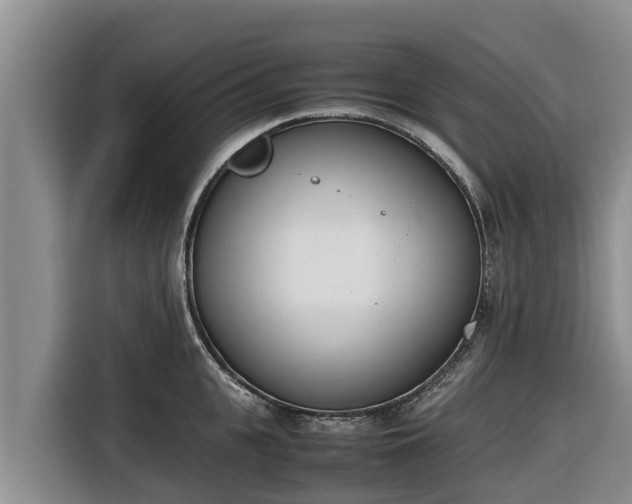 X0000116820951200912241238