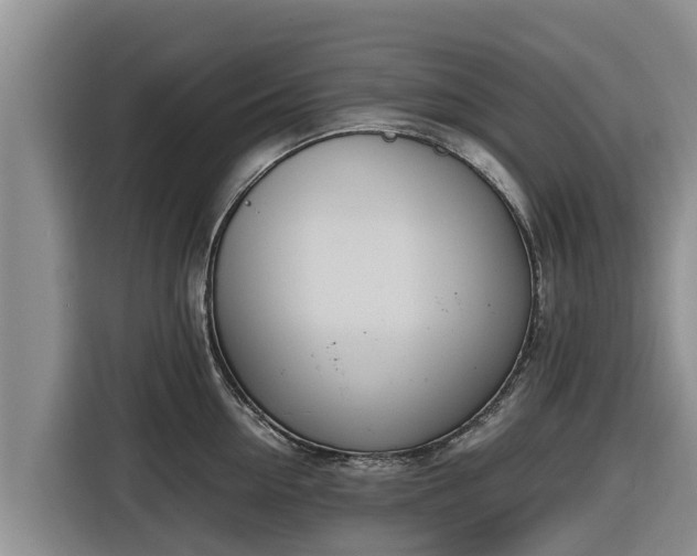 X0000116820954200912241238