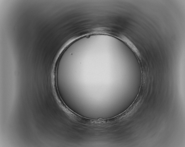 X0000116820955200912241238