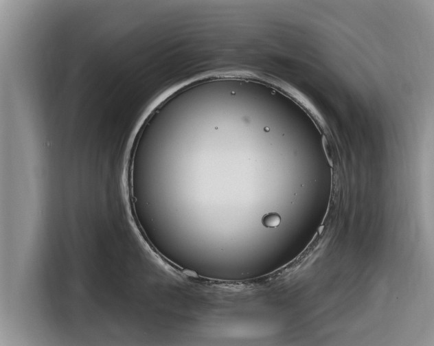 X0000116820959200912241238