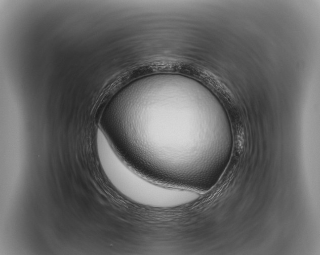 X0000116820964200912241237