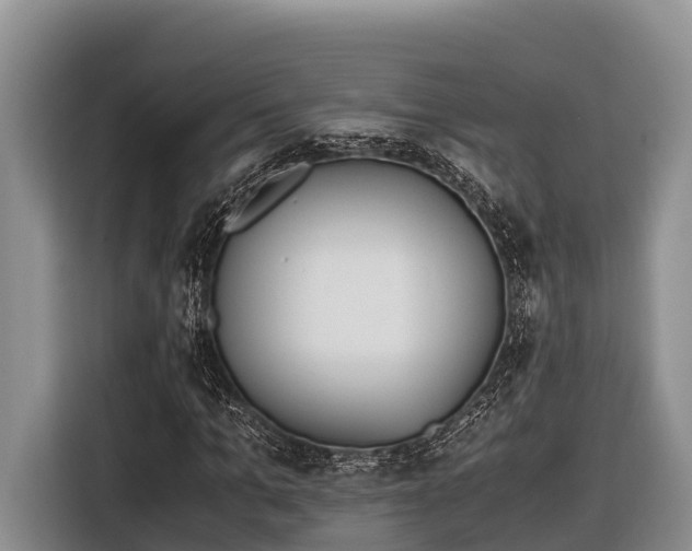 X0000116820965200912241237