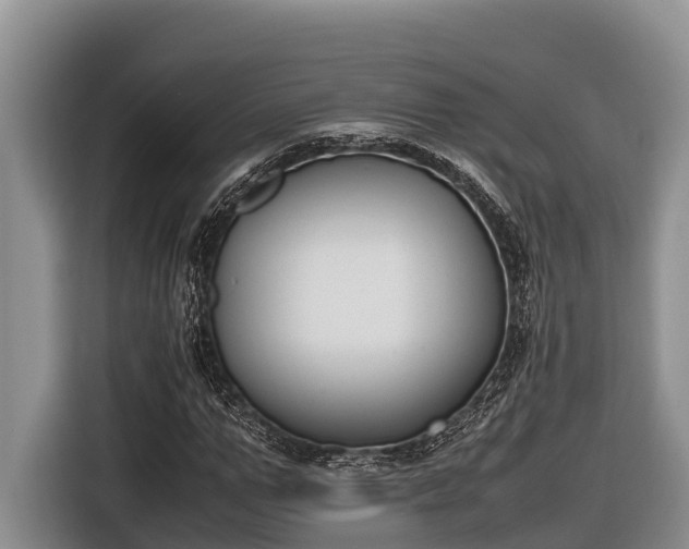 X0000116820967200912241237