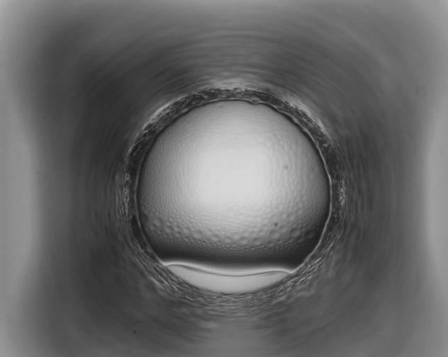 X0000116820968200912241237