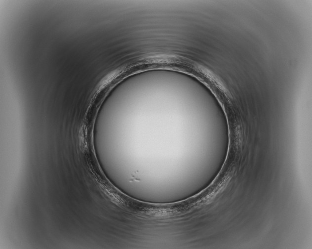 X0000116820970200912241237