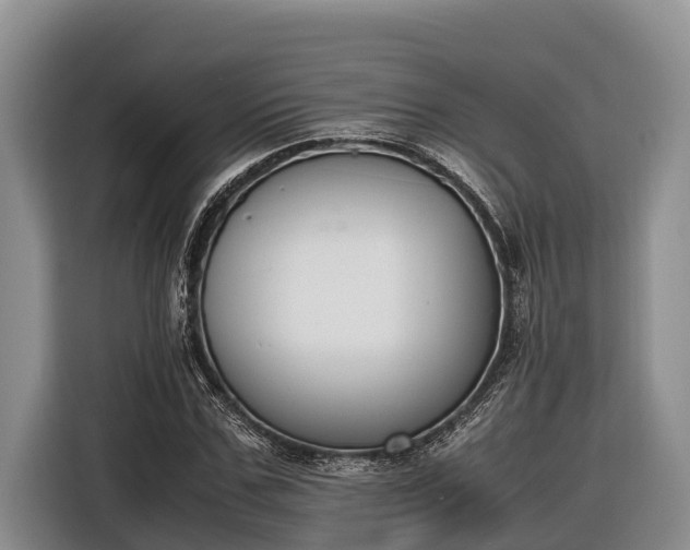 X0000116820971200912241237