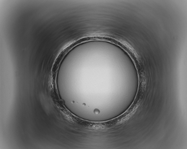 X0000116820974200912241237