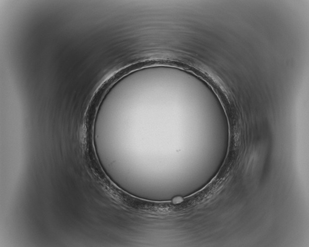 X0000116820975200912241237