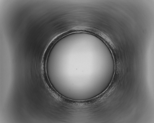 X0000116820976200912241237