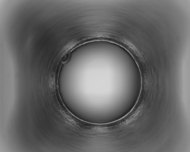 X0000116820977200912241237