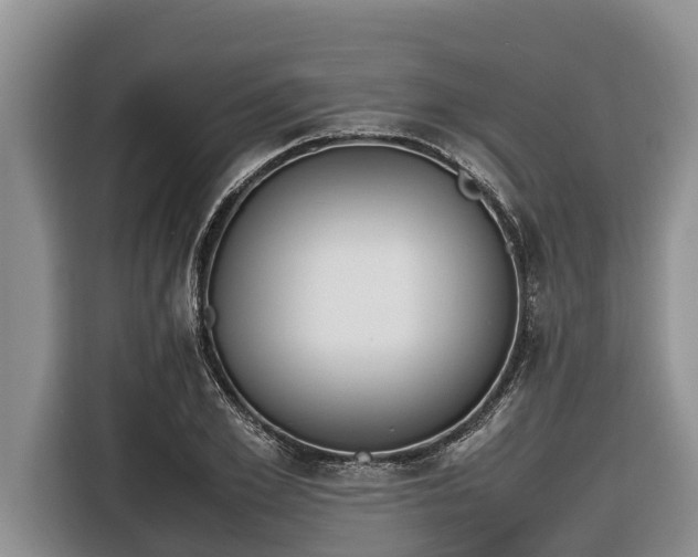 X0000116820981200912241237