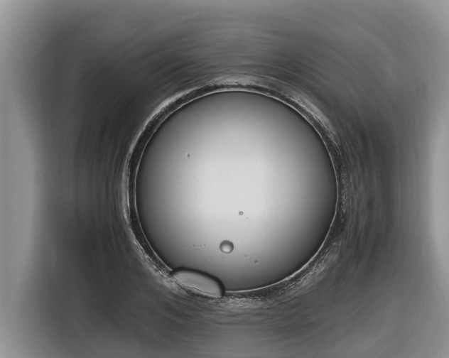 X0000116820984200912241237