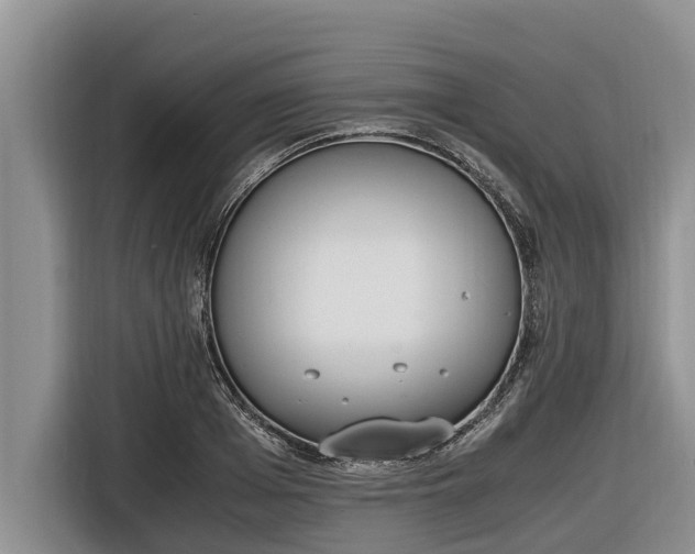 X0000116820985200912241237