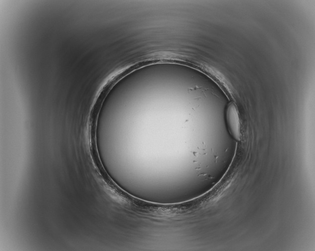 X0000116820987200912241237