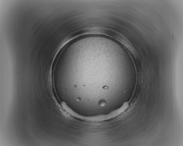 X0000116820988200912241237