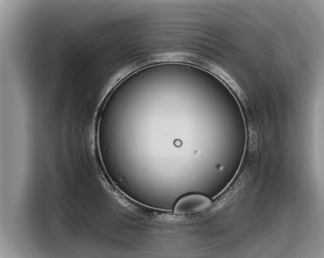 X0000116820994200912241237