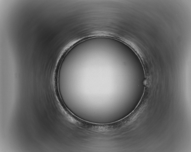 X0000116820995200912241237