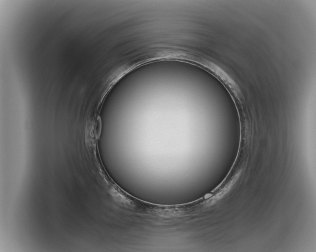 X0000116821001200912241237