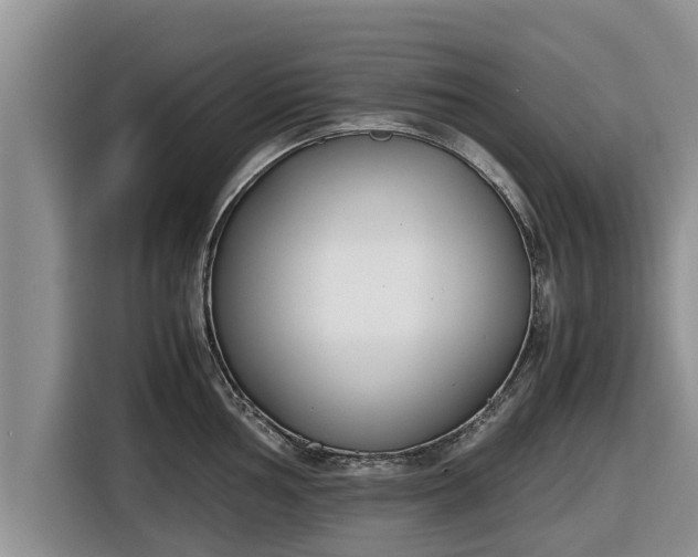 X0000116821002200912241237