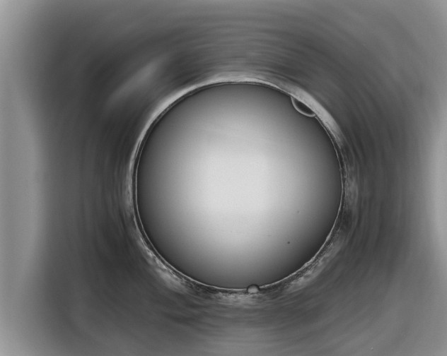 X0000116821004200912241237