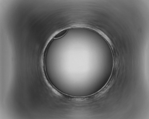 X0000116821005200912241237