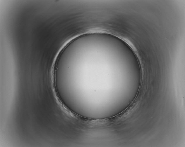 X0000116821008200912241237