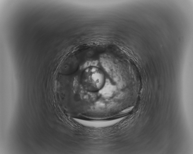 X0000116821009200912241236