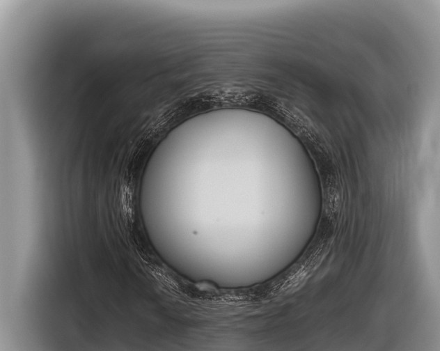 X0000116821010200912241236