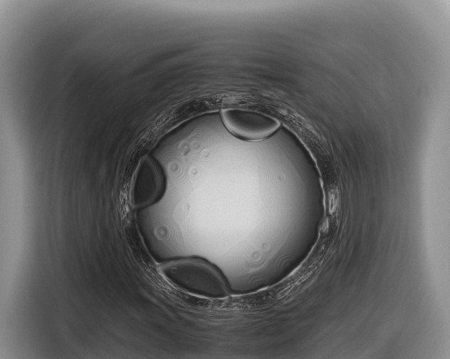 X0000116821011200912241236