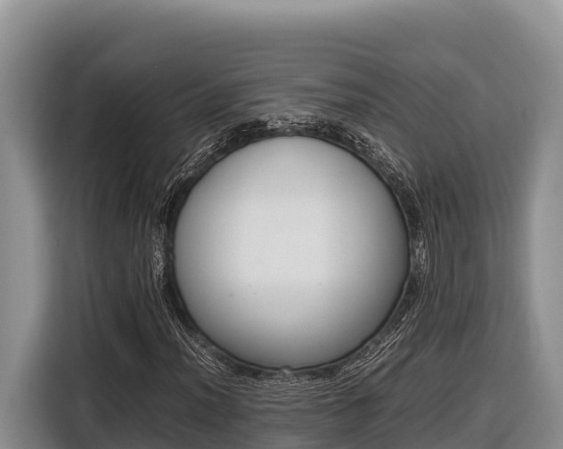 X0000116821012200912241236