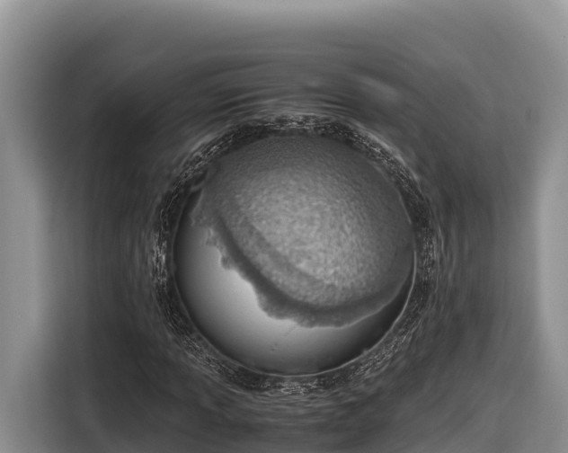 X0000116821013200912241236