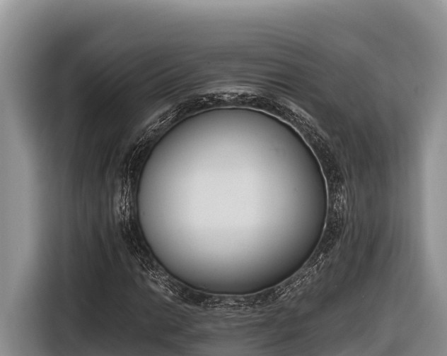 X0000116821014200912241236