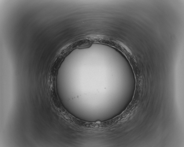 X0000116821016200912241236