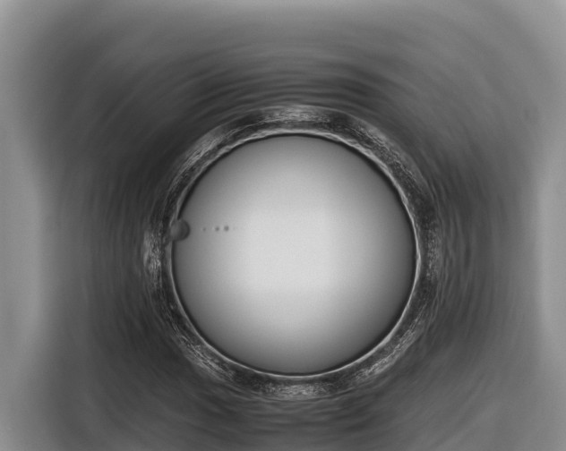 X0000116821017200912241236