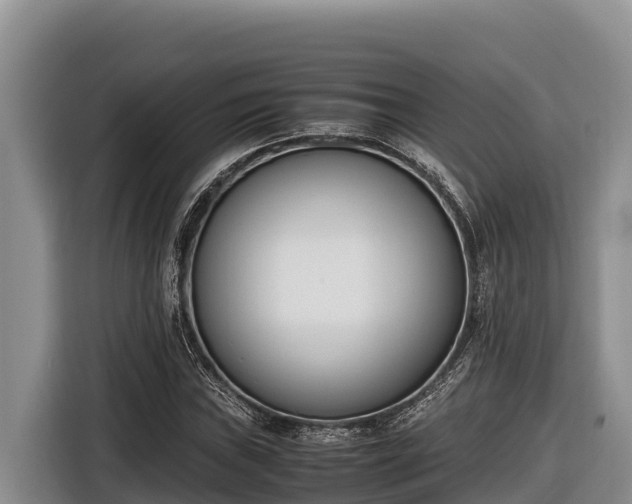 X0000116821019200912241236