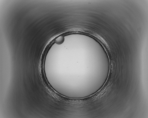 X0000116821020200912241236