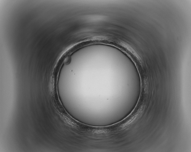 X0000116821021200912241236