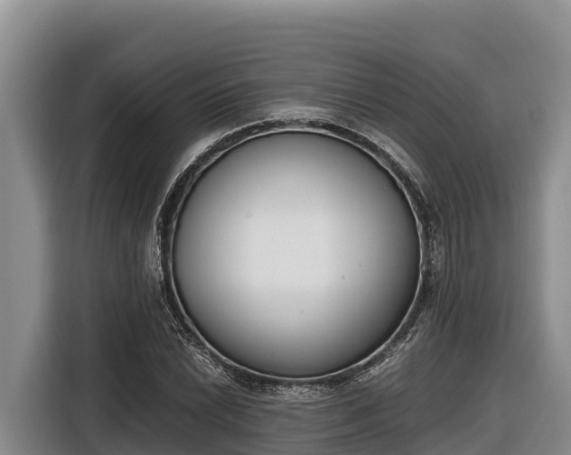 X0000116821022200912241236