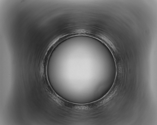 X0000116821023200912241236