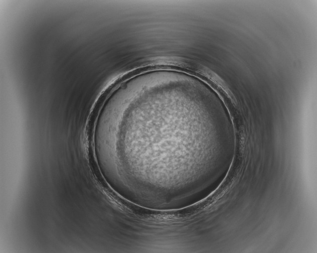 X0000116821024200912241236