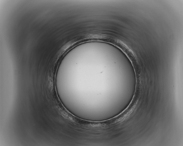 X0000116821025200912241236