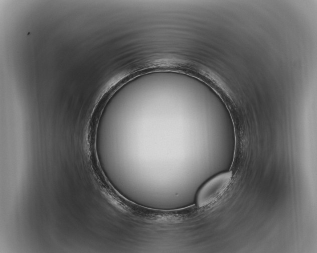 X0000116821026200912241236