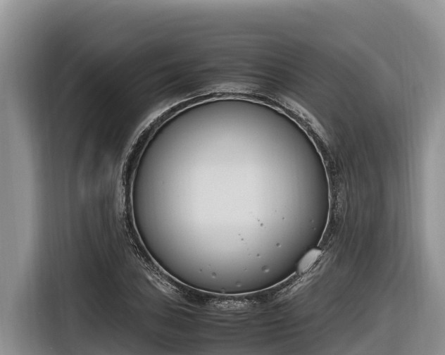 X0000116821027200912241236